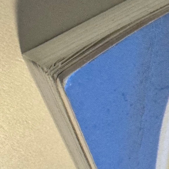 Bone Broth Cookbook – Cottagecore Farmhouse Back-to-Basics Cooking - Picture 9 of 9